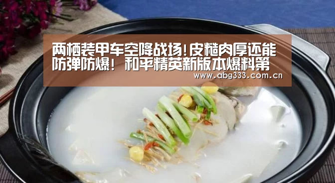 两栖装甲车空降战场!皮糙肉厚还能防弹防爆! 和平精英新版本爆料第二弹‘欧博’(图1) 欧博平台