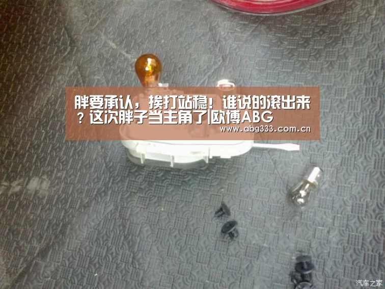 胖要承认,挨打站稳!谁说的滚出来?这次胖子当主角了|欧博ABG(图1) 欧博注册流程
