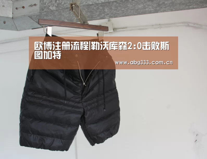 欧博注册流程|勒沃库森2:0击败斯图加特(图1) 欧博